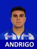 Andrigo